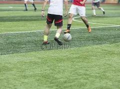 河北省通报,七起涉群众,不正之风与,开云体育,开云体育官网,开云体育app,开云体育平台,KAIYUN,SPORTS,kaiyun登录入口