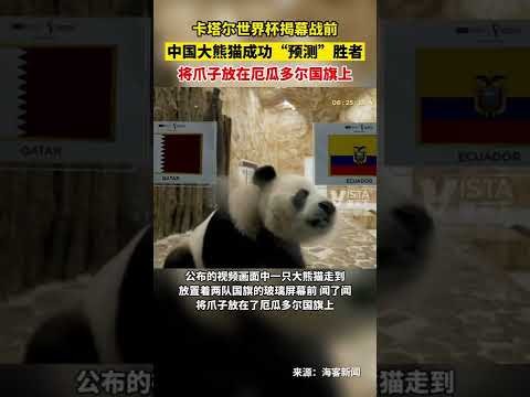 璀璨水晶宫,力挺格拉斯,全合同履行,开云体育,开云体育官网,开云体育app,开云体育平台,KAIYUN,SPORTS,kaiyun登录入口