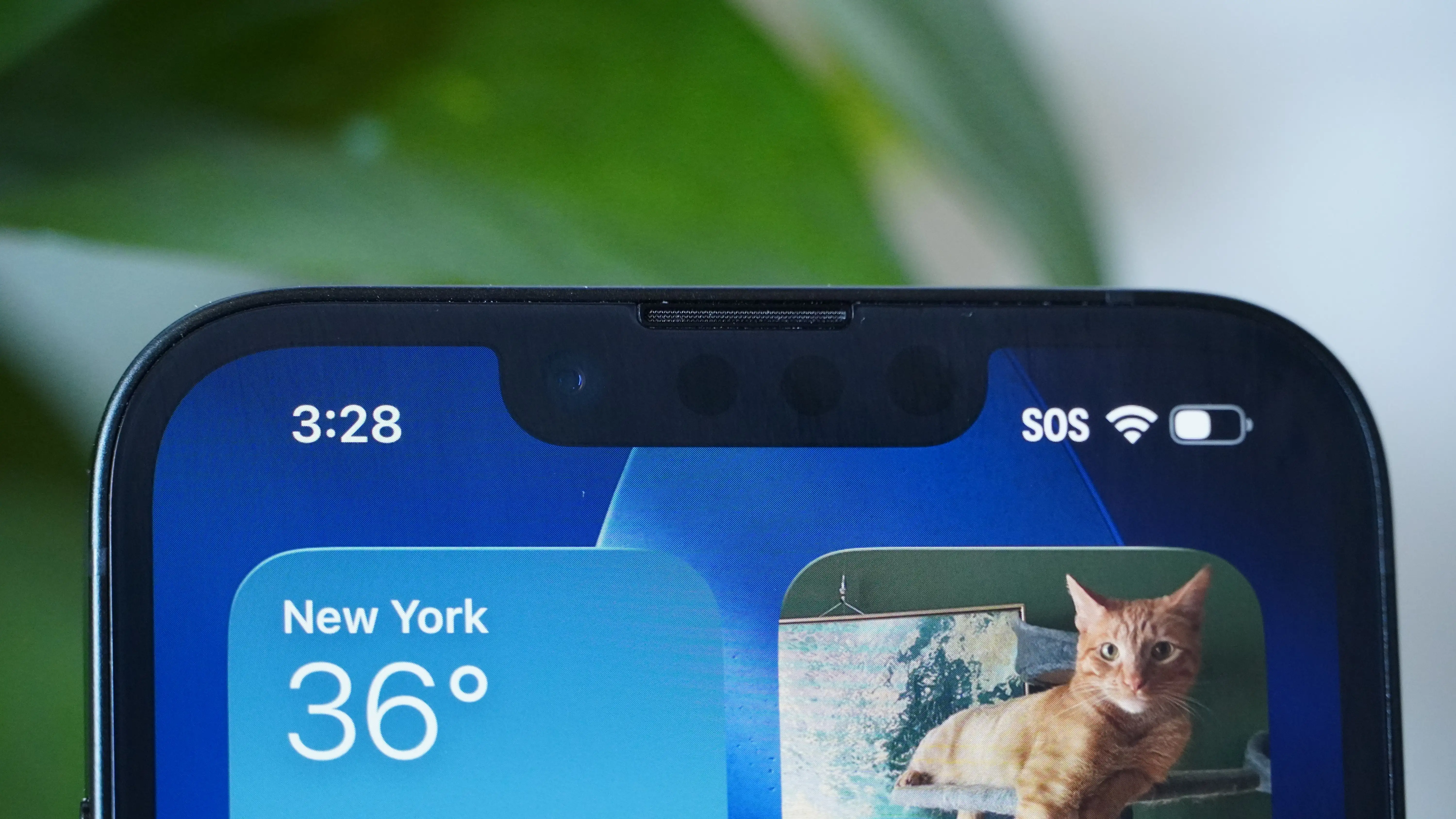 利物浦,逆转布赖顿,轮战果,开云体育,开云体育官网,开云体育app,开云体育平台,KAIYUN,SPORTS,kaiyun登录入口