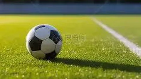 8月16日足球赛事精选推荐（比分揭晓）