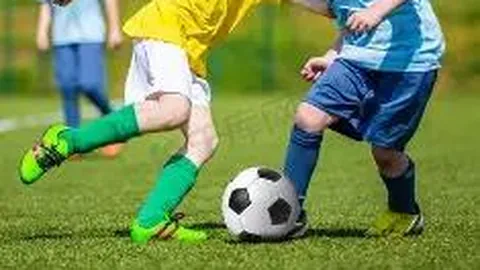 开云体育入口 产品 095217 s5p