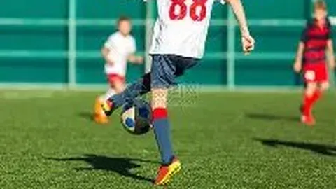 开云体育入口 产品 095258 r36