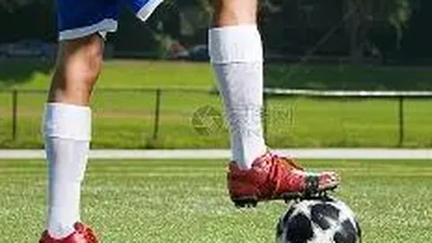 开云体育入口 资讯 095419 f26