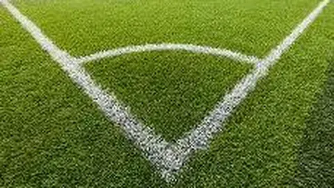 开云体育入口 产品 091140 mgw