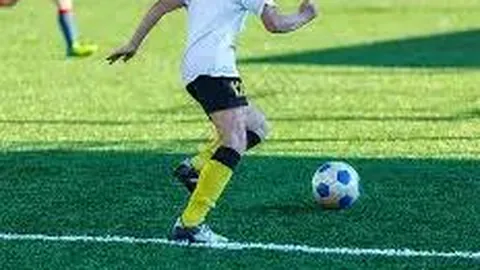 开云体育入口 产品 090434 s1h