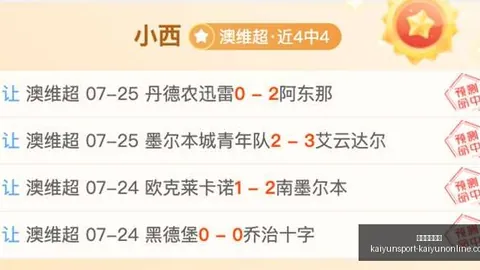 开云体育入口 151456 9